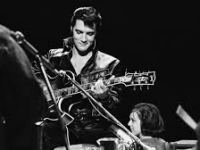 Top 5 Albums From Each Year in the&nbsp;1950s